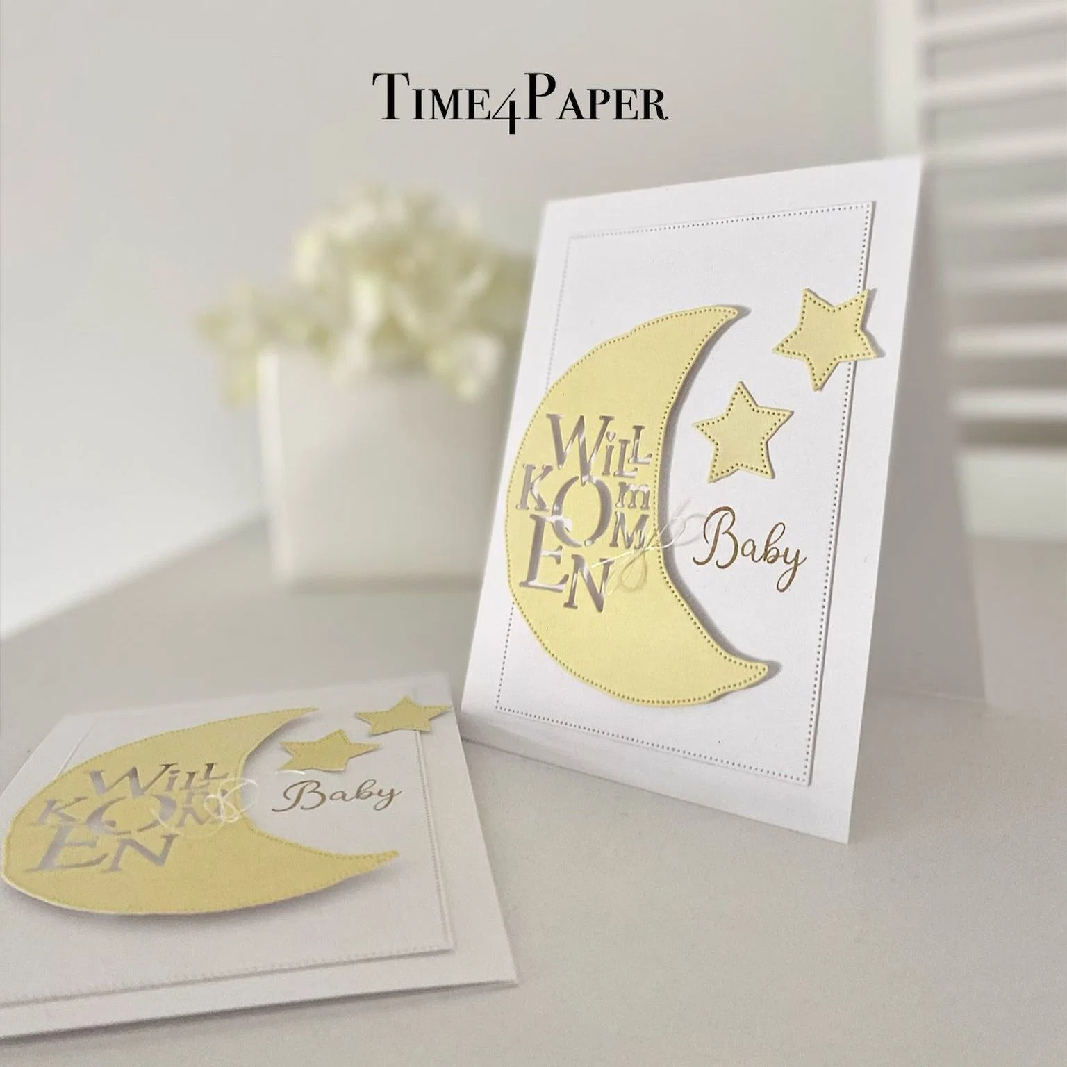 Baby-Koffer-Stempel und -Schab – Food Box Baby Bewertung und Preis